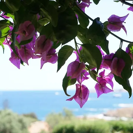 Granu19 Apartman Porto Cervo